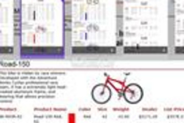 WinRT Viewer for Reporting Services预览：WinRT Viewer for Reporting Services效果预览